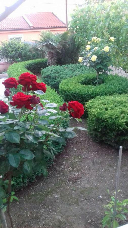 Apartmani Misak Vrsi Buitenkant foto